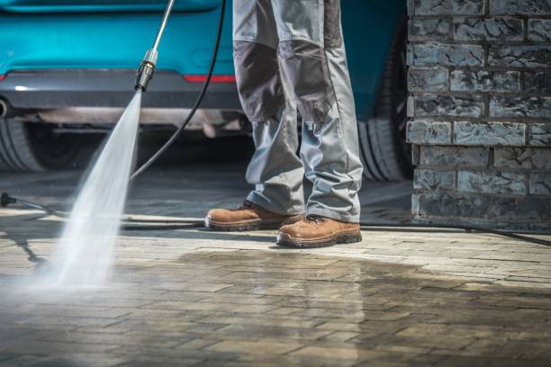Best Driveway Pressure Washing  in Rome City, IN