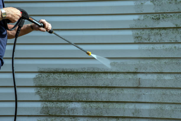 Best Sidewalk and Walkway Cleaning  in Rome City, IN